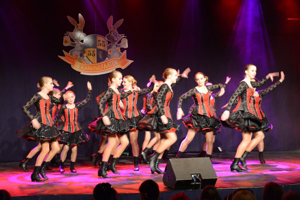 ../Images/Dansmarieke festival 2015 156.jpg